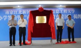 金牛区爆料新闻最新消息,突发事件引发广泛关注